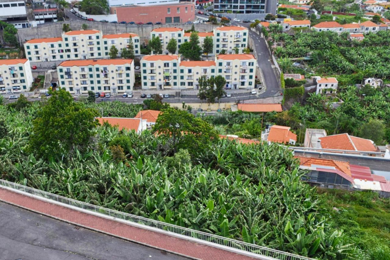 Design Gardens, A Home In Madeira Фуншал Экстерьер фото